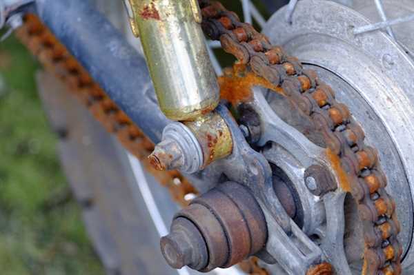 Step-by-Step Guide to Proper Chain Lubrication